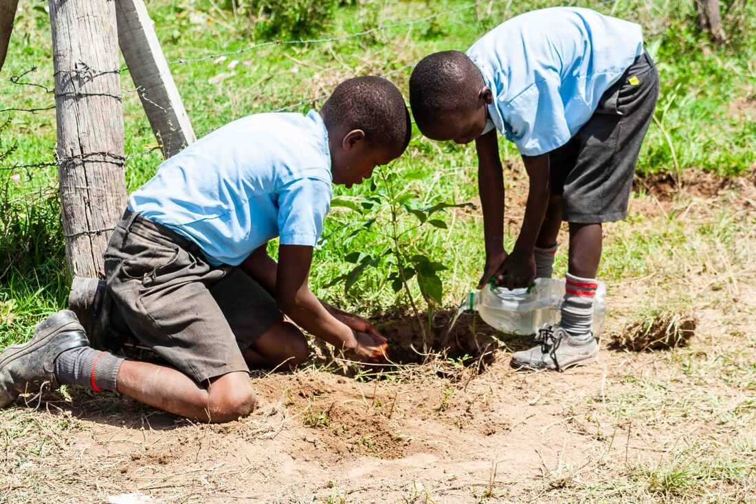 Linda Mazingira Tree Planting Day